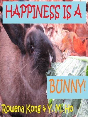 cover image of Happiness is a Bunny